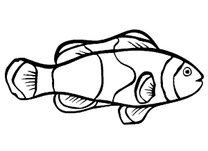simple fish coloring pages : Printable Coloring Sheet ~ Anbu