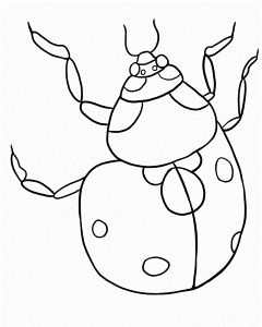 Free Printable Ladybug Coloring Pages High Resolution | ViolasGallery.