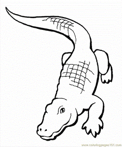 Coloring Pages Crocodile Aligator Coloring Page 0001 (2) (Animals