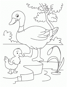 Duck and Duckling coloring page | Download Free Duck and Duckling