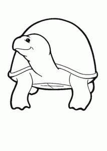 Tortoise Pictures To Colour - HD Printable Coloring Pages
