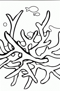 Coral Reef Coloring Pages For Kids | download free printable