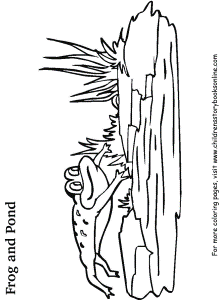 pond turtle Colouring Pages (page 3)