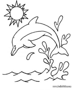 Dolphin Coloring Pages For Kids Images & Pictures - Becuo