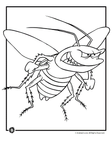 bugs coloring pages animal image search results