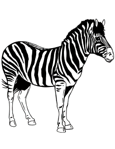 realistic zebra Colouring Pages