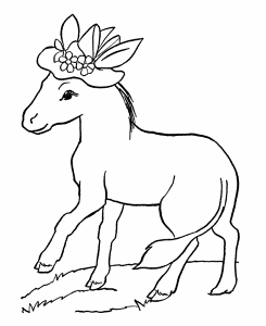 Related Pictures Animals Coloring Pages Pets And Animals On The