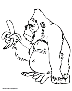 monkey eating a banana Colouring Pages