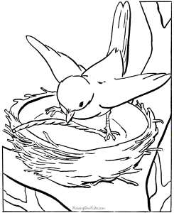 Coloring Pages Of Birds For Kids | Printable Coloring Pages