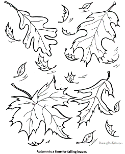 Leaves Coloring Pictures For Kids
