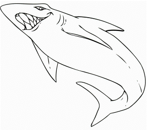 Shark Printable Coloring Pages Printable Tiger Shark Coloring