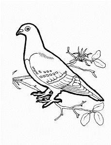 Bird Coloring Pages For Kids | Free coloring pages