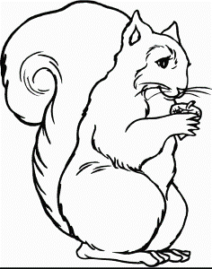 Squirrel Coloring Pages For Kids - Free Printable Coloring Pages