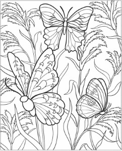 EXPOSE HOMELESSNESS: COLORING BOOK BUTTERFLY (3) FOR OUR HOMELESS
