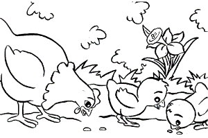 Little Red Hen Coloring Pages - Free Coloring Pages For KidsFree