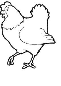 Animals Hen Coloring Pages : Chickens For Food