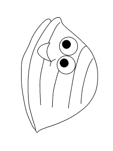 Ocean Oyster Animals Coloring Pages & Coloring Book