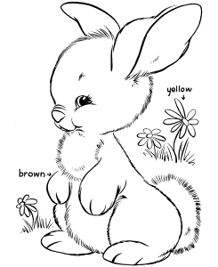 Easter Bunny Coloring Pages | BlueBonkers - Cute bunny free