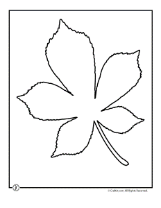 Leaf Template Printables | Craft Jr.