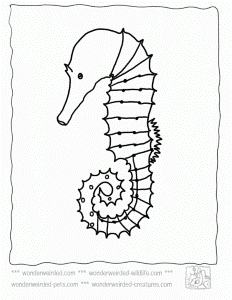 Free Seahorse Coloring Page Collection of Seahorse Pictures to Color