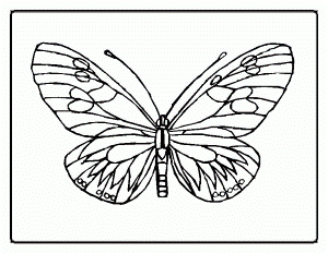 Free Printable Butterfly Coloring Pages | Coloring Pages