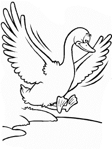 Printable Birds Duck Animals Coloring Pages 