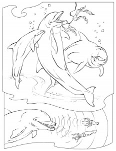 dolphin ocean animal fishes coloring pages