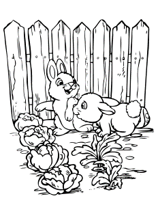 2 Cute Rabbits In Garden Coloring Page | Free Printable Coloring Pages
