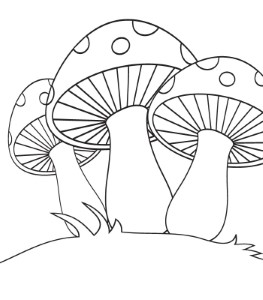 Mushroom coloring page | Printable coloring pages