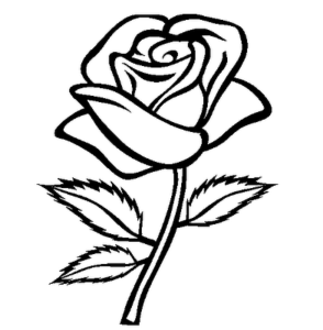 Flower | Coloring Pages - Part 2