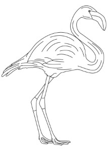 Long legged flamingo coloring page | Download Free Long legged ...