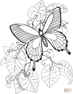 Butterfly coloring pages | Free Coloring Pages