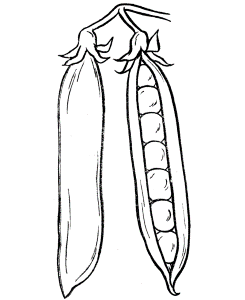 Coloring Book Pictures Of Peas - High Quality Coloring Pages