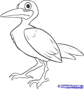 How to Draw a Seagull, Step by Step, Birds, Animals, FREE Online