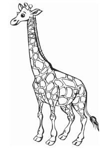 Animal Giraffe Coloring page | Kids Coloring Page
