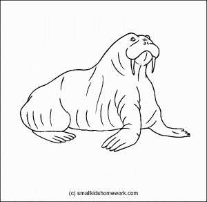 Animals Outline Pictures and coloring pages for little kids