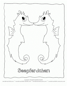 Cartoon Animals Coloring Pages Seahorse, Fantasy Coloring Pages of