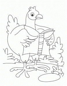Dancing hen coloring pages | Download Free Dancing hen coloring