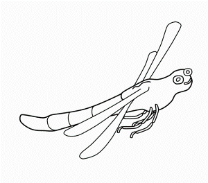 Dragonfly Coloring Pages For Adult - Dragonfly Coloring Pages