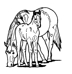 Search Results » Horse Printable Coloring Pages