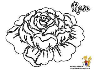 Flowers Coloring Pages | Roses | Free| Rose Flower |Rose Coloring