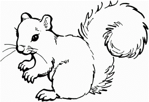 Squirrel Coloring Pages For Preschool Squirrel Coloring Page ...