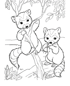 Baby Animals Coloring Pages | 146 Pins
