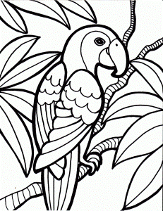 peacock bird coloring pages | Coloring Pages