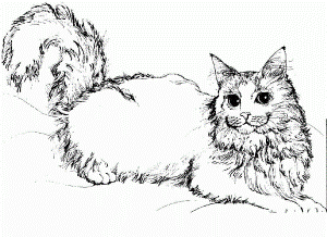cute cat coloring sheet cartoon cat coloring pages - VoteForVerde.com