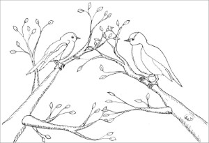 Printable Robins Coloring Page - ColoringBay