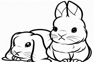 Ability Color In A Bunny Coloring Page In Stead Of Buying Some ...