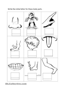 Body Parts Coloring Pages Printables - High Quality Coloring Pages