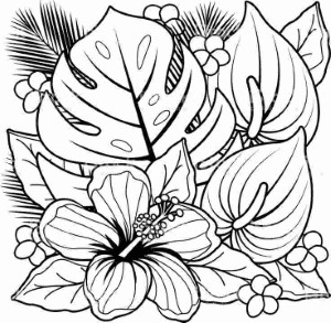 Tropical Flower Coloring Pages coloring pages hawaiian flowers ...