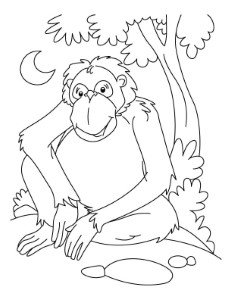 Chimpanzee waiting coloring page | Download Free Chimpanzee ...